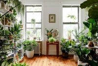 Room plants living ideas plant fresh indoor green kentia decoration credit inside issuu article decor